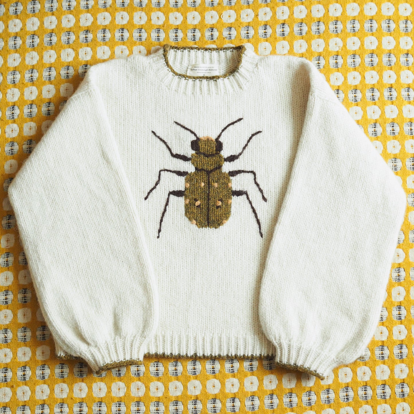 Tiger Beetle Jumper