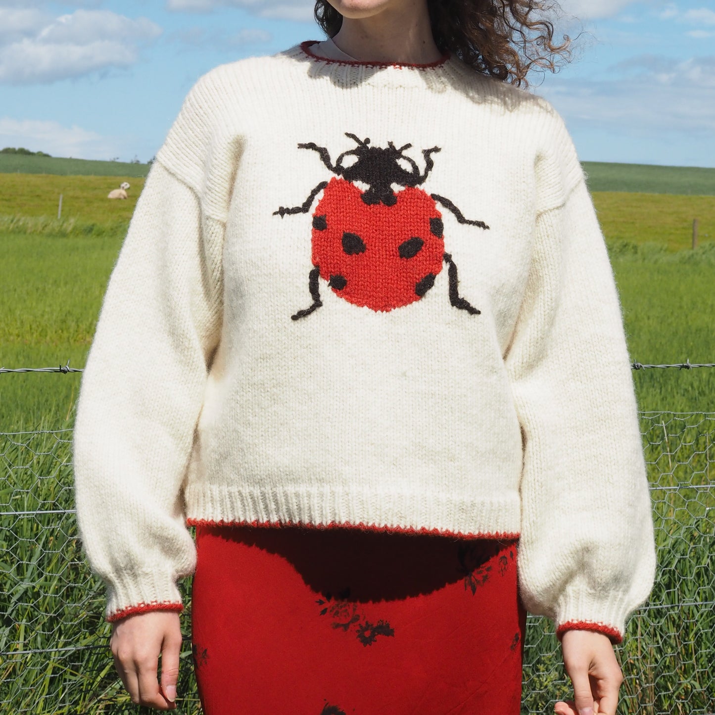 Ladybird Jumper - White