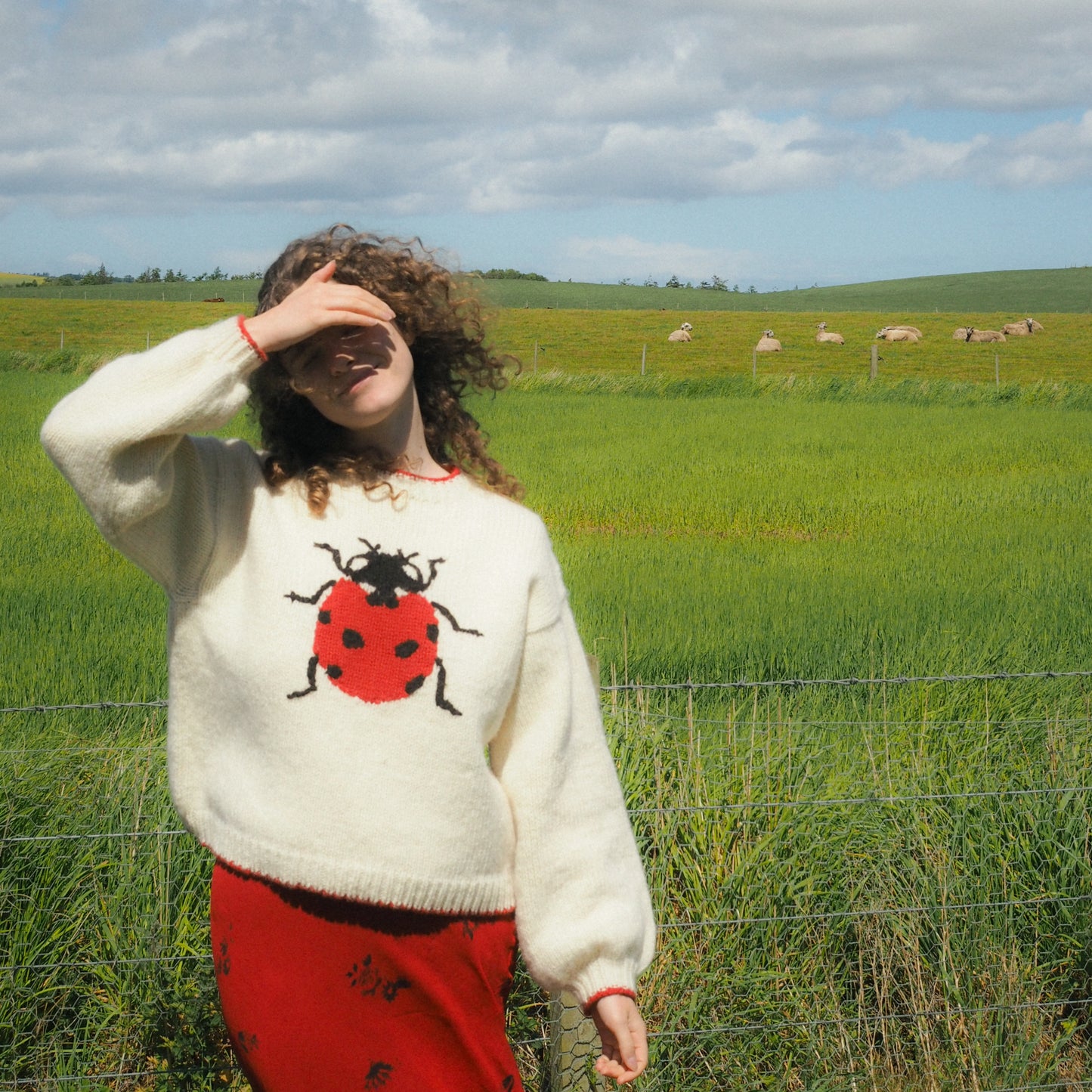 Ladybird Jumper - White
