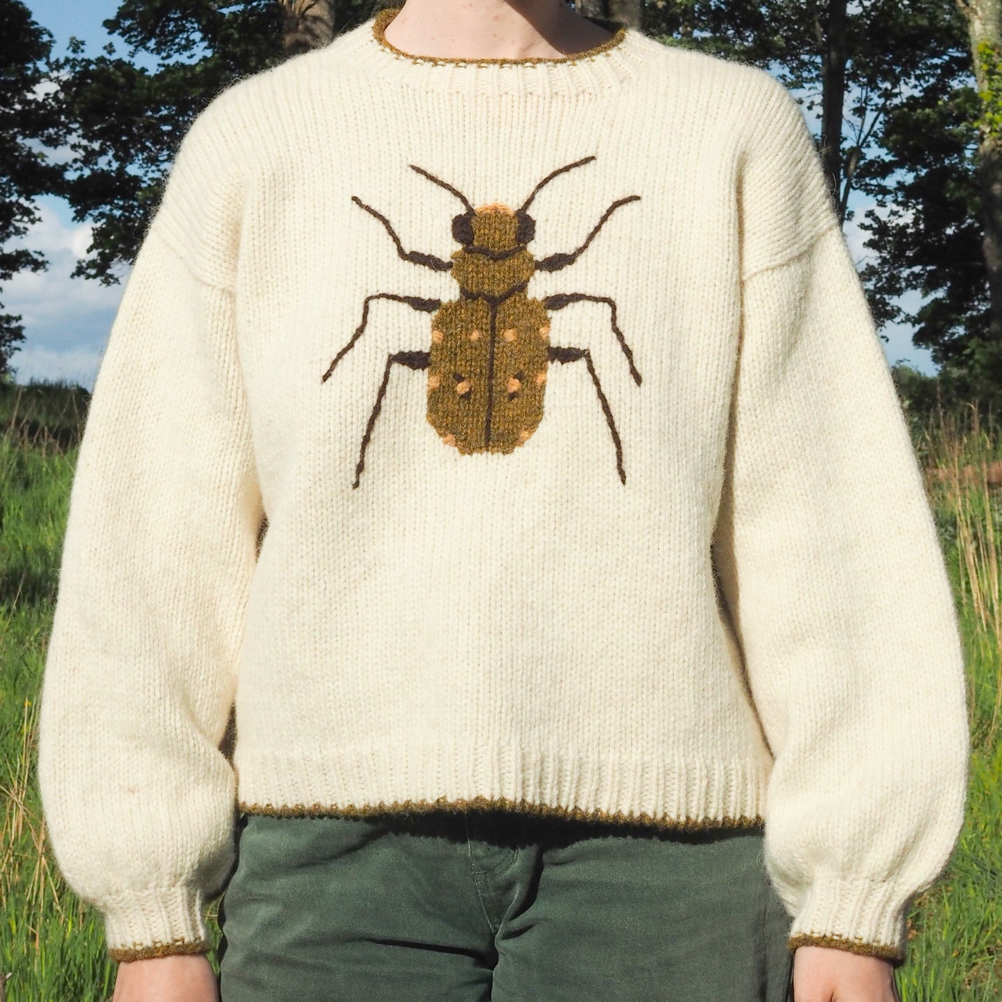 Tiger Beetle Jumper
