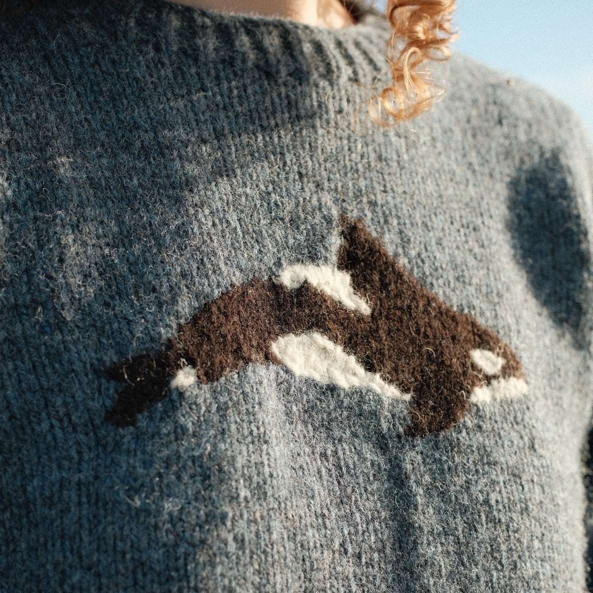 Orca Jumper - Blue