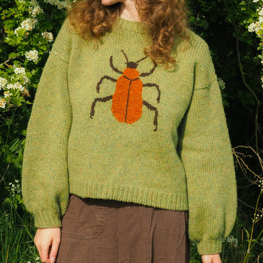 Cardinal Beetle Jumper