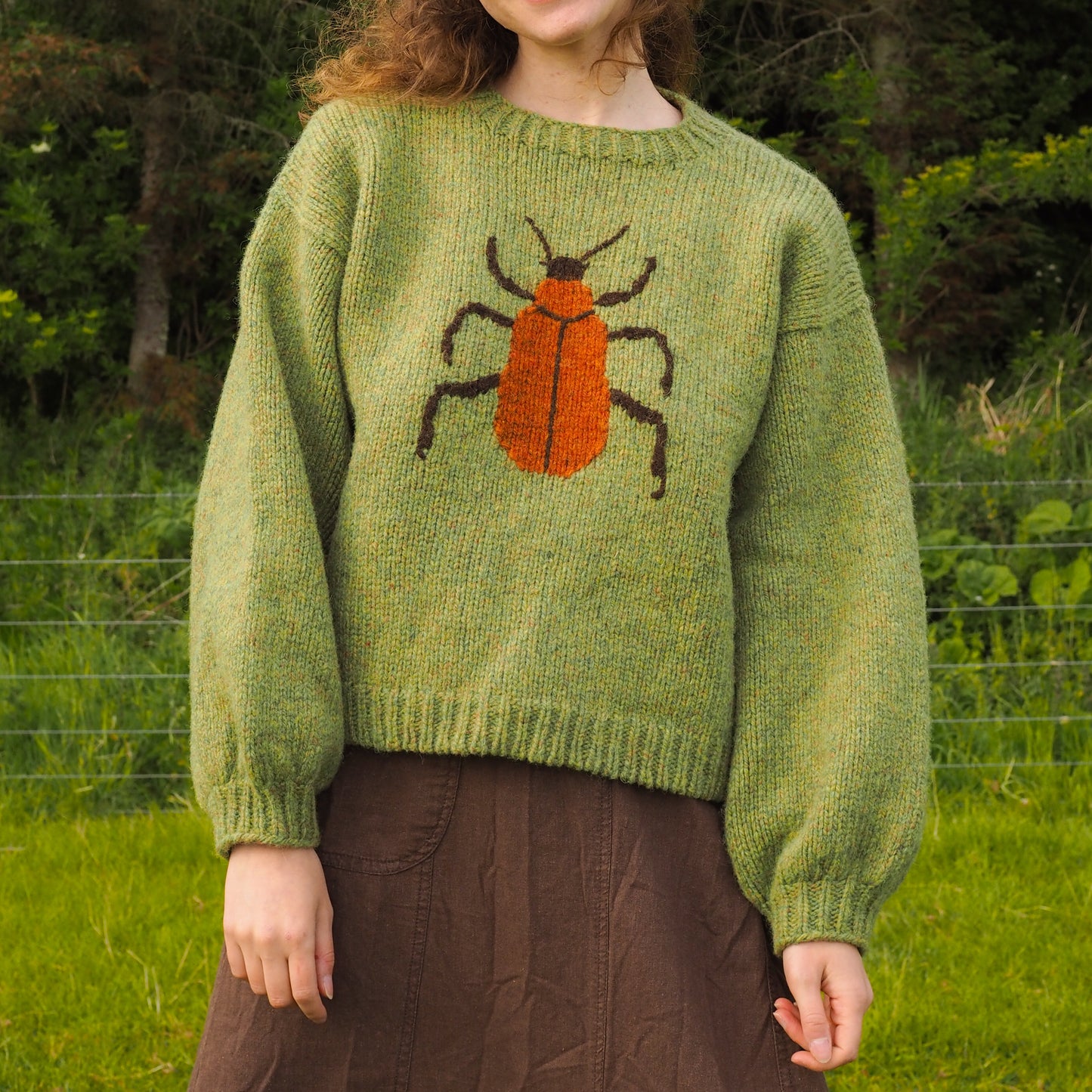 Cardinal Beetle Jumper