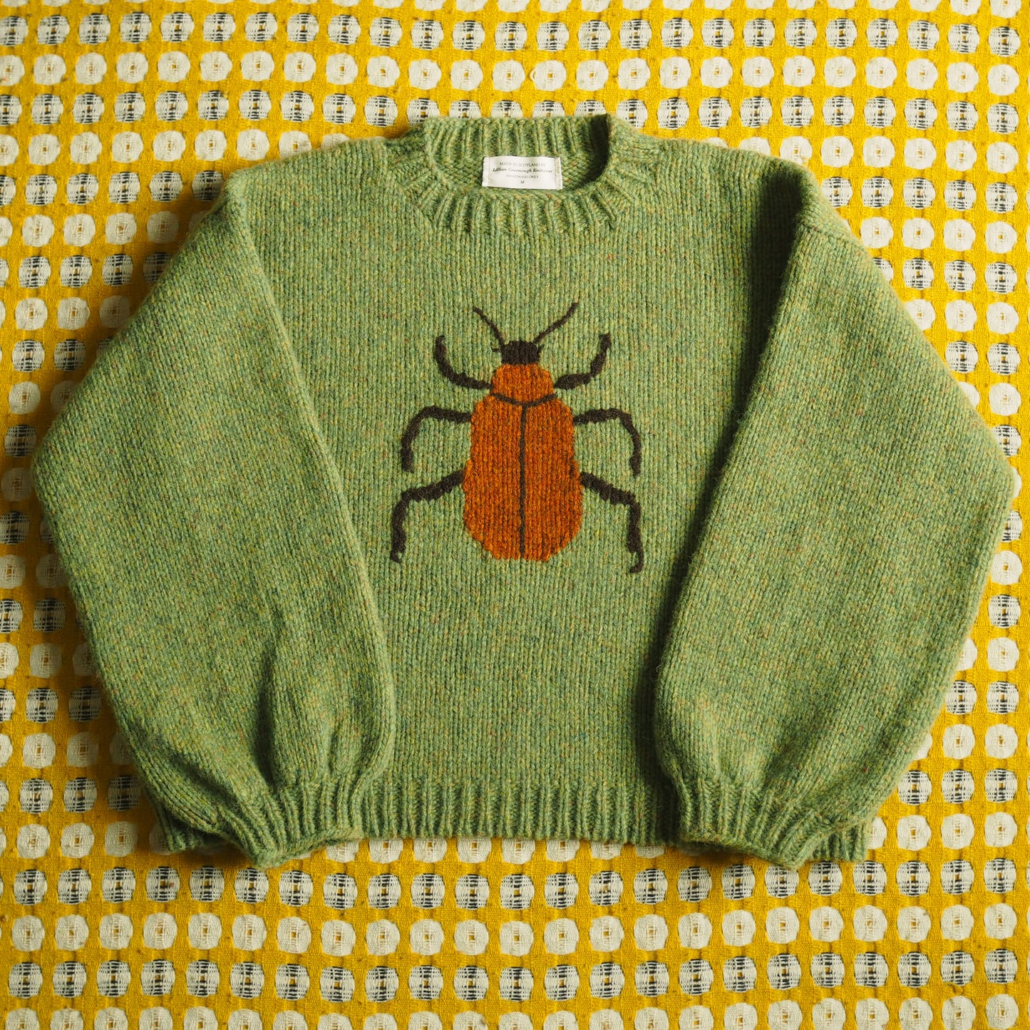 Cardinal Beetle Jumper