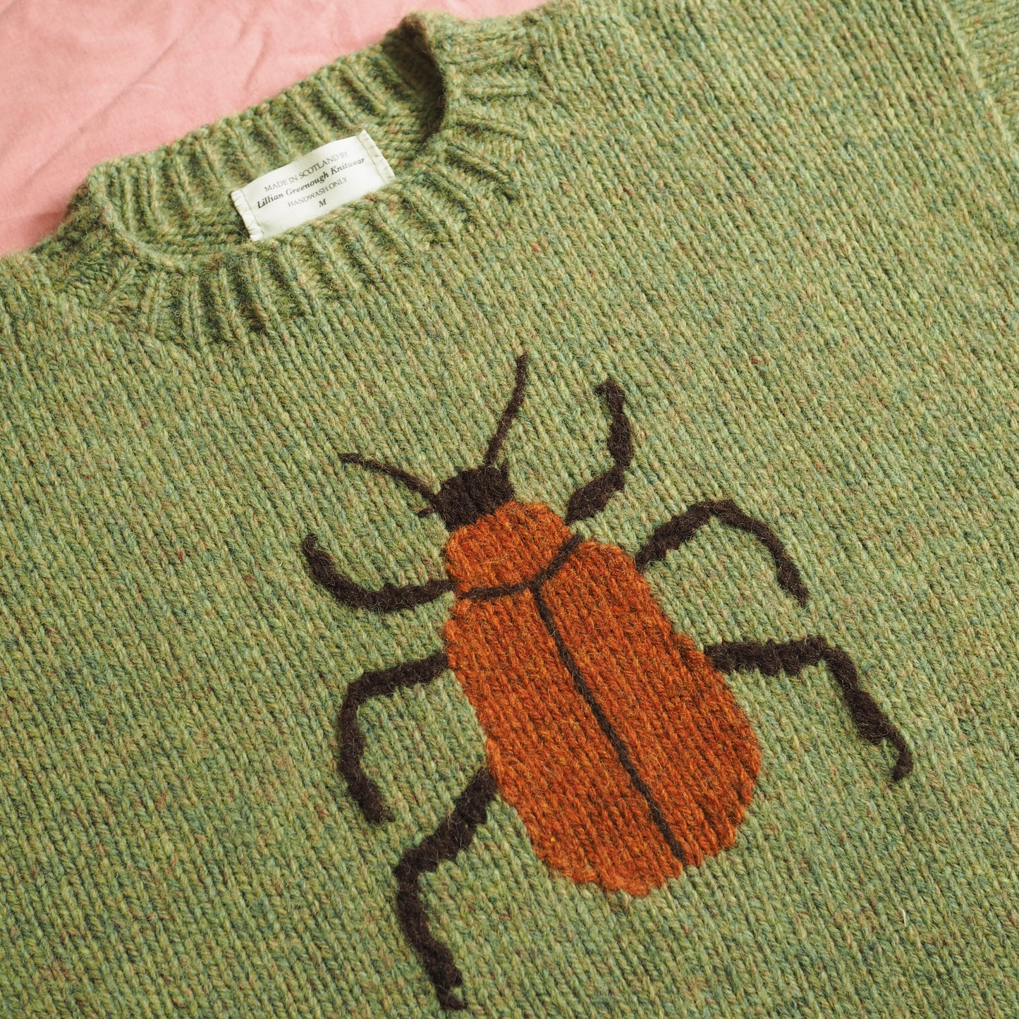 Cardinal Beetle Jumper