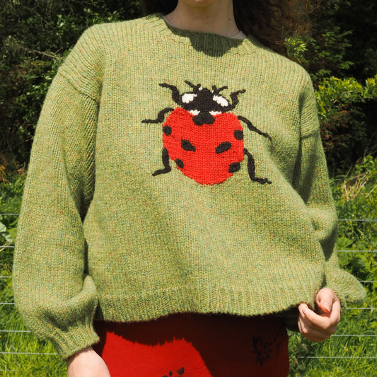 Ladybird Jumper - Green