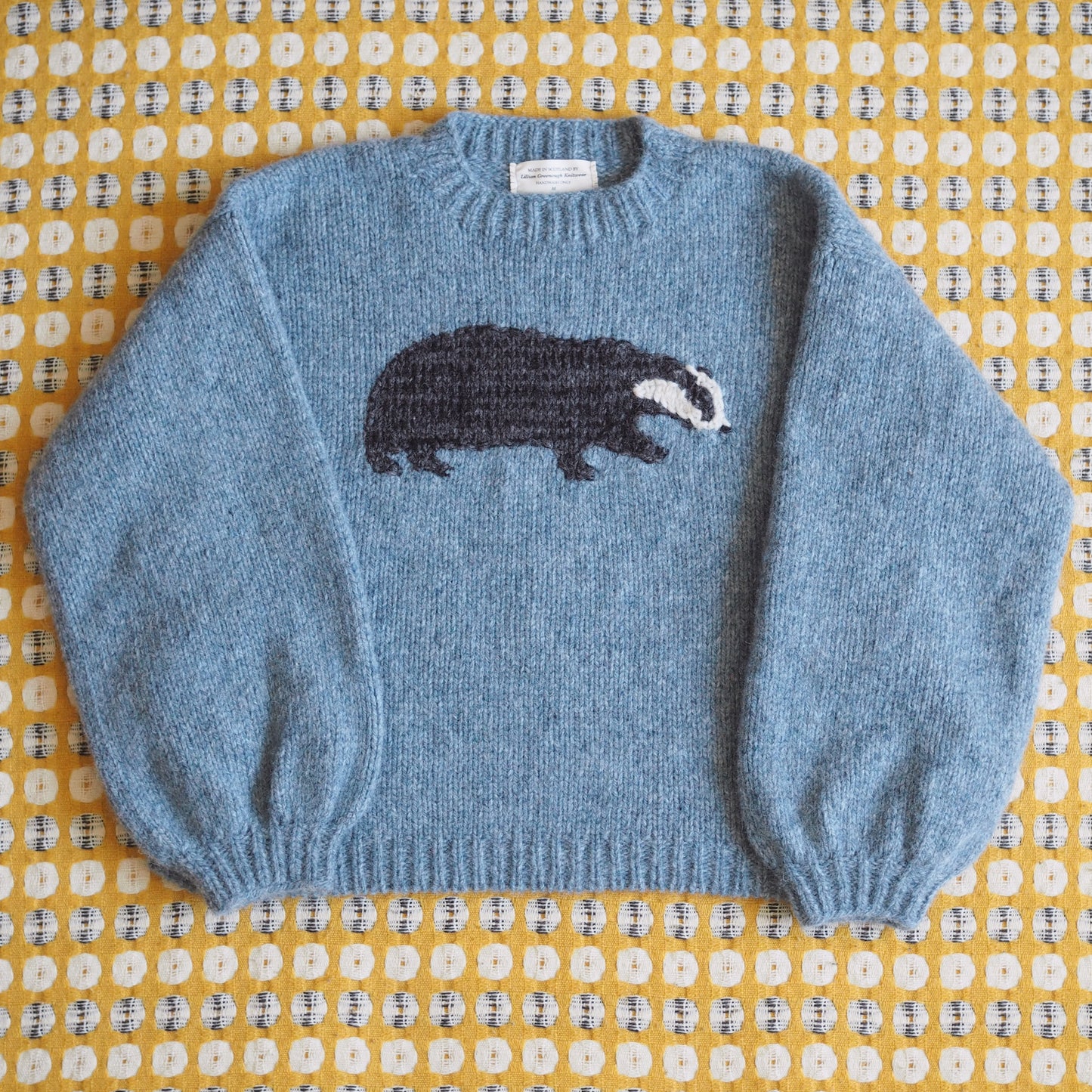 Badger Jumper