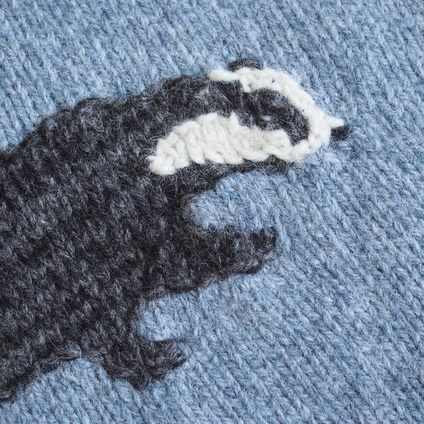 Badger Jumper