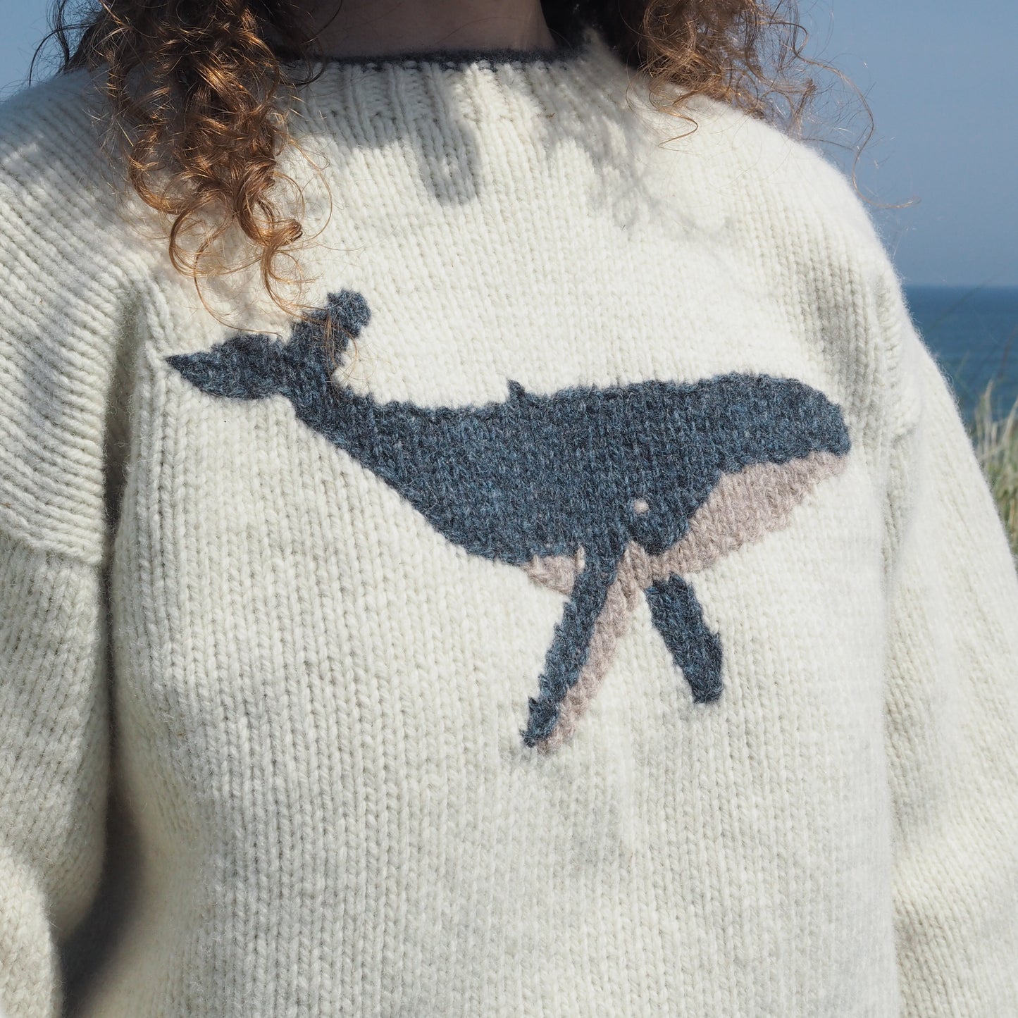 Humpback Whale Jumper