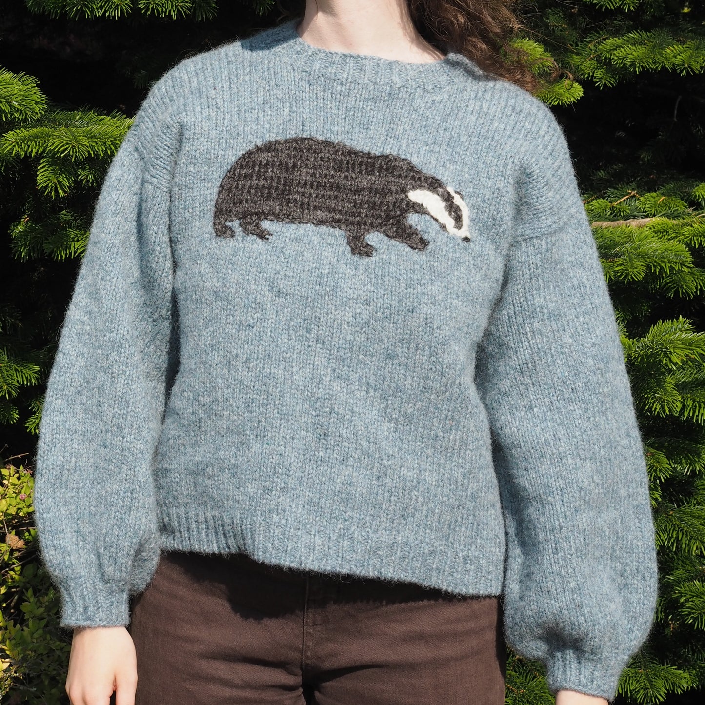 Badger Jumper