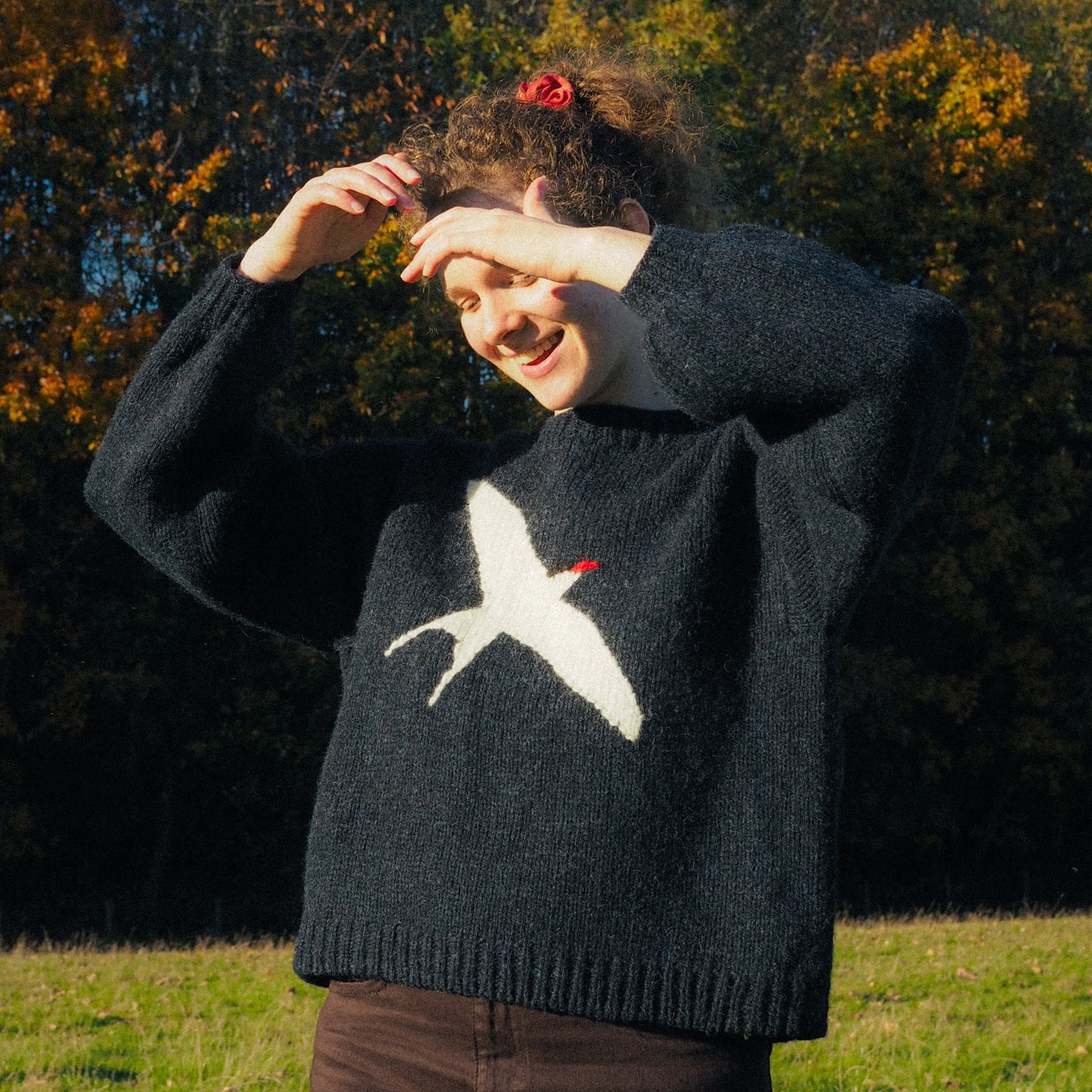 Arctic Tern Jumper
